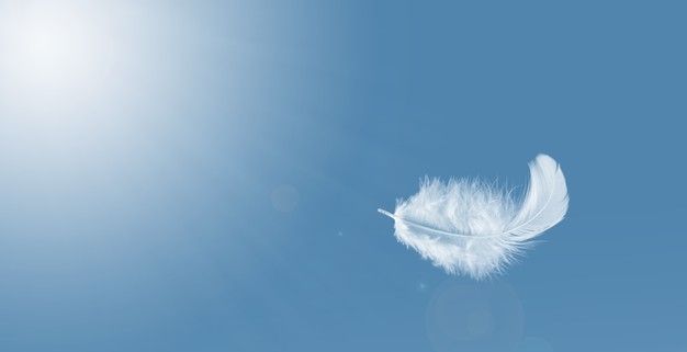 Plume blanche isolée