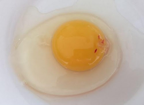 Panier d'œufs frais