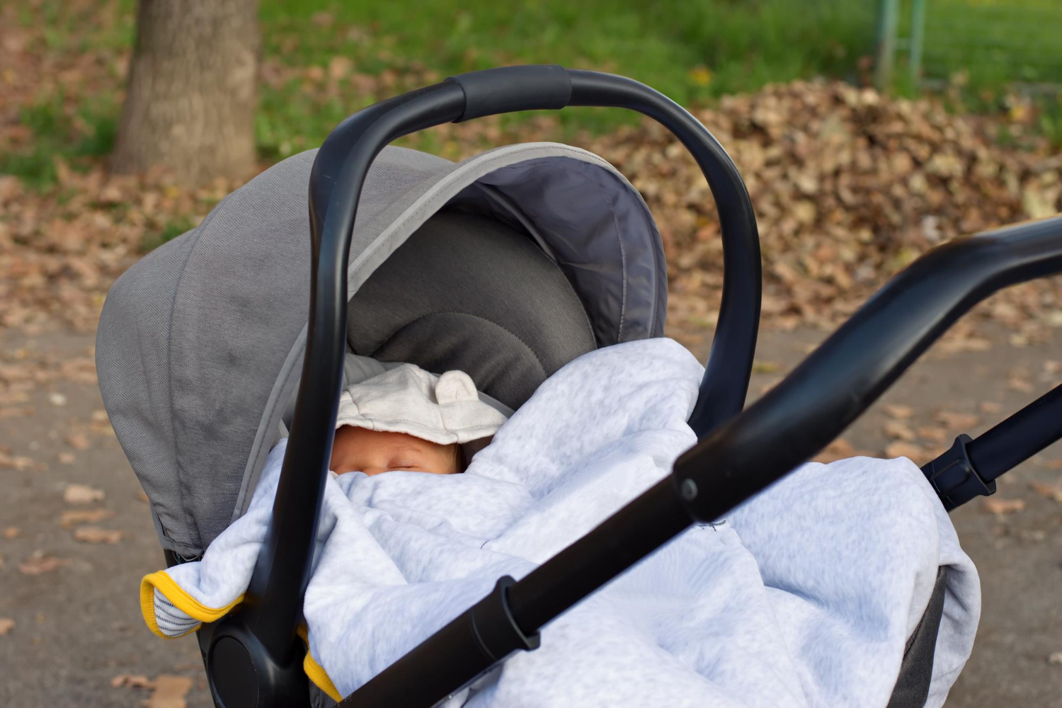 Bébé Ivy en promenade