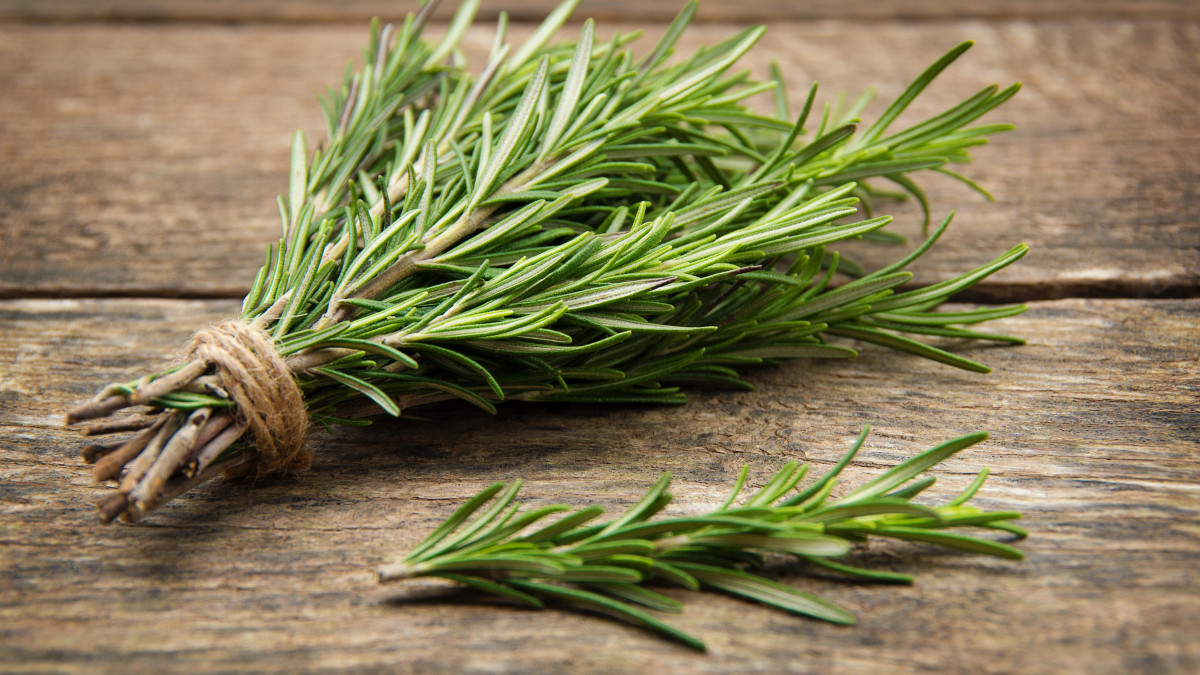 Branches de romarin frais avec des ingrédients pour déodorant maison