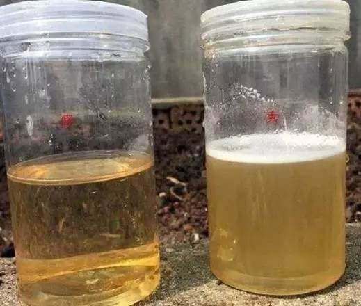 Test du miel dans un verre d'eau