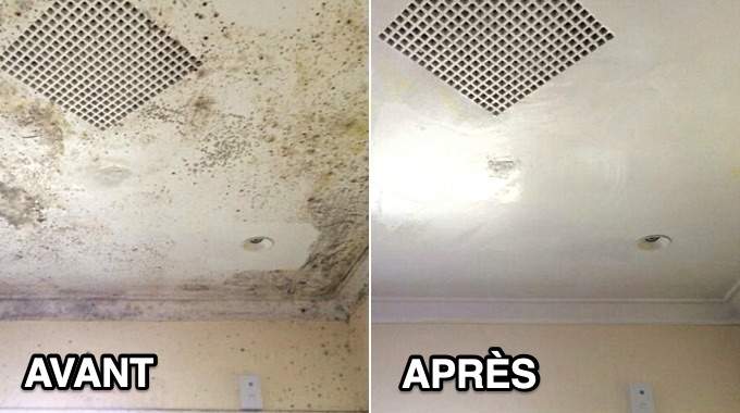 Spécialiste du traitement des problèmes d'humidité