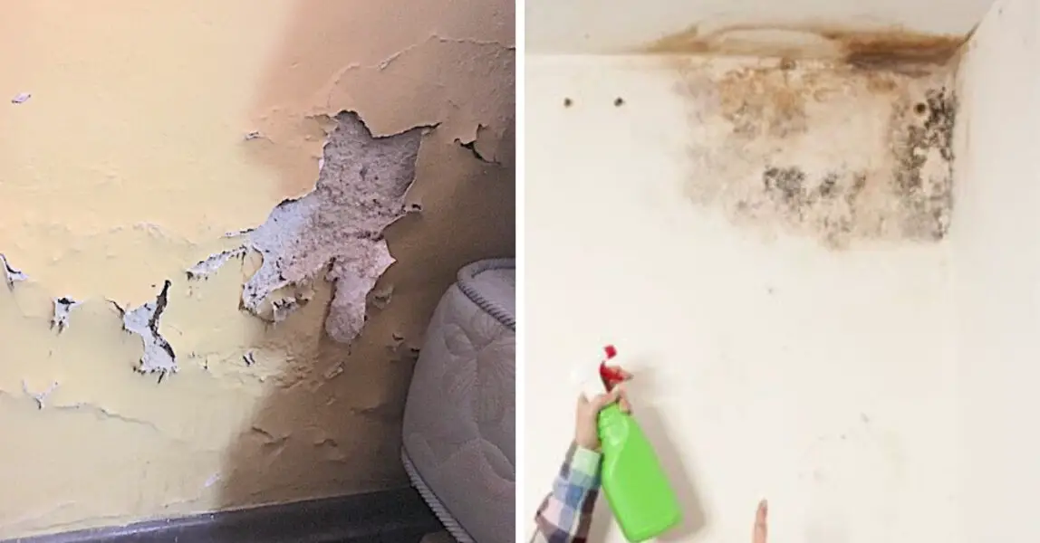 Traitement naturel contre les murs humides
