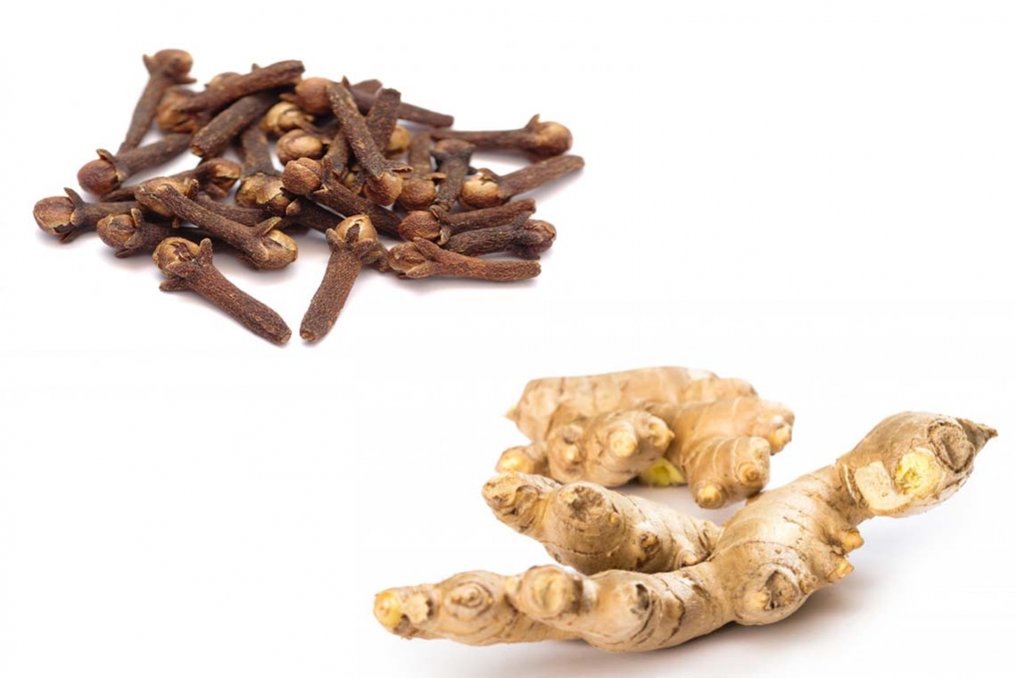 Tisane gingembre et girofle