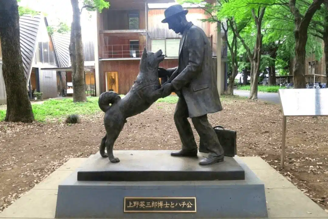 Statue de Hachiko à Shibuya