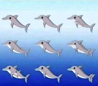 Illustration de dauphins dissimulés dans les vagues