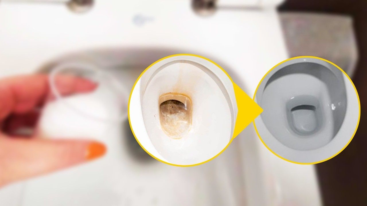 Cuvette de toilettes avant/après nettoyage