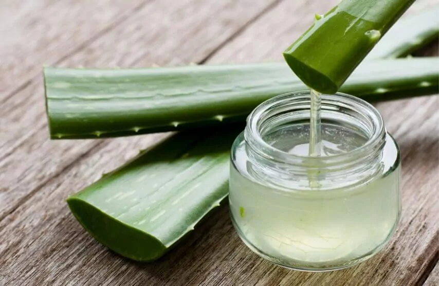 Aloe Vera pour les cheveux