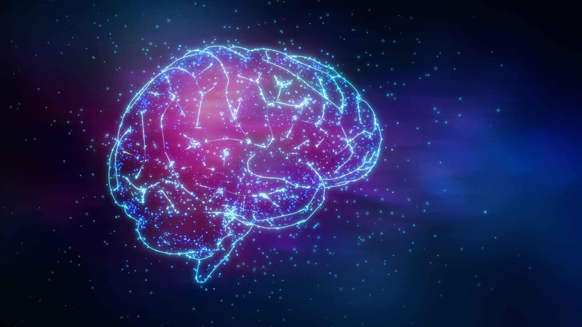 Représentation artistique d'un cerveau pour illustrer la pensée