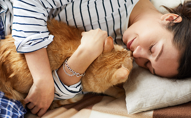 Chat blotti contre un visage humain