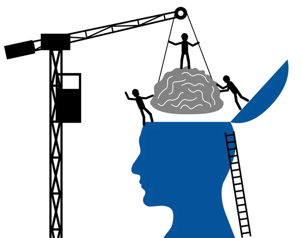 Cerveau en activité
