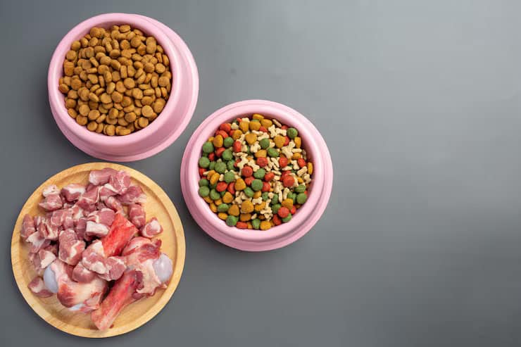 Nourriture pour chien fraîche et équilibrée