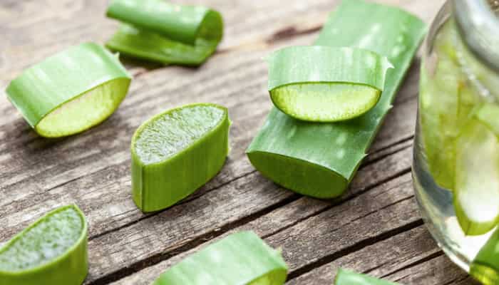 Soin buccal à l'Aloe Vera