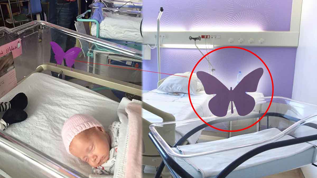 Autocollant papillon violet sur une couveuse en néonatalogie