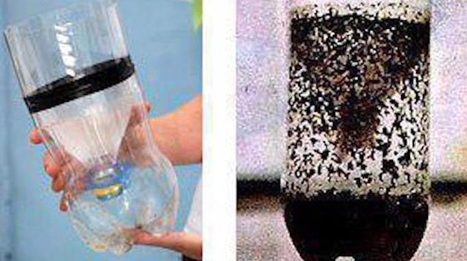 Piège à moustiques DIY