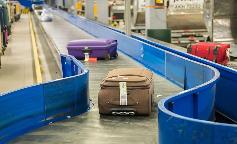 Chien policier inspectant une valise