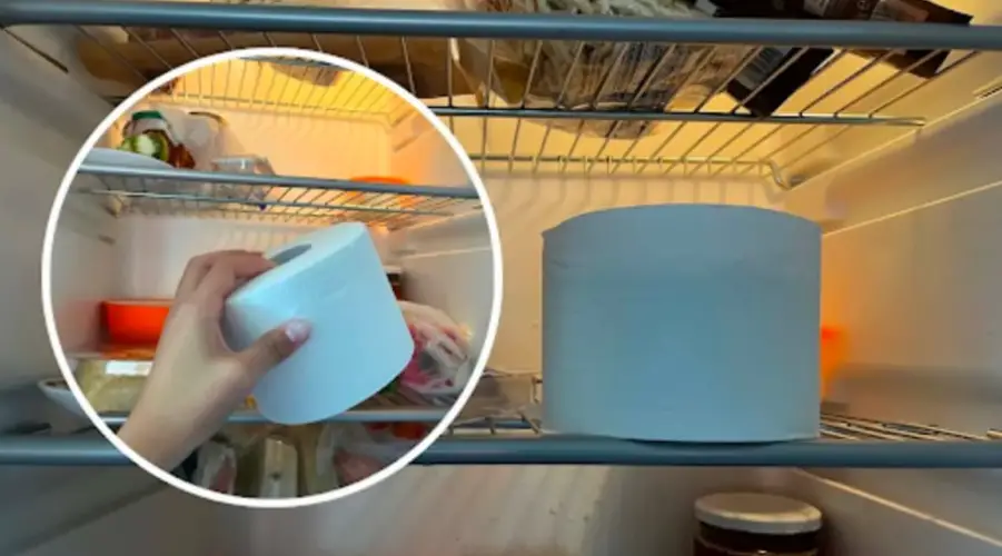 Illustration d'un rouleau de papier toilette placé dans un réfrigérateur