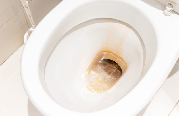 Schéma montrant la formation du tartre dans les toilettes