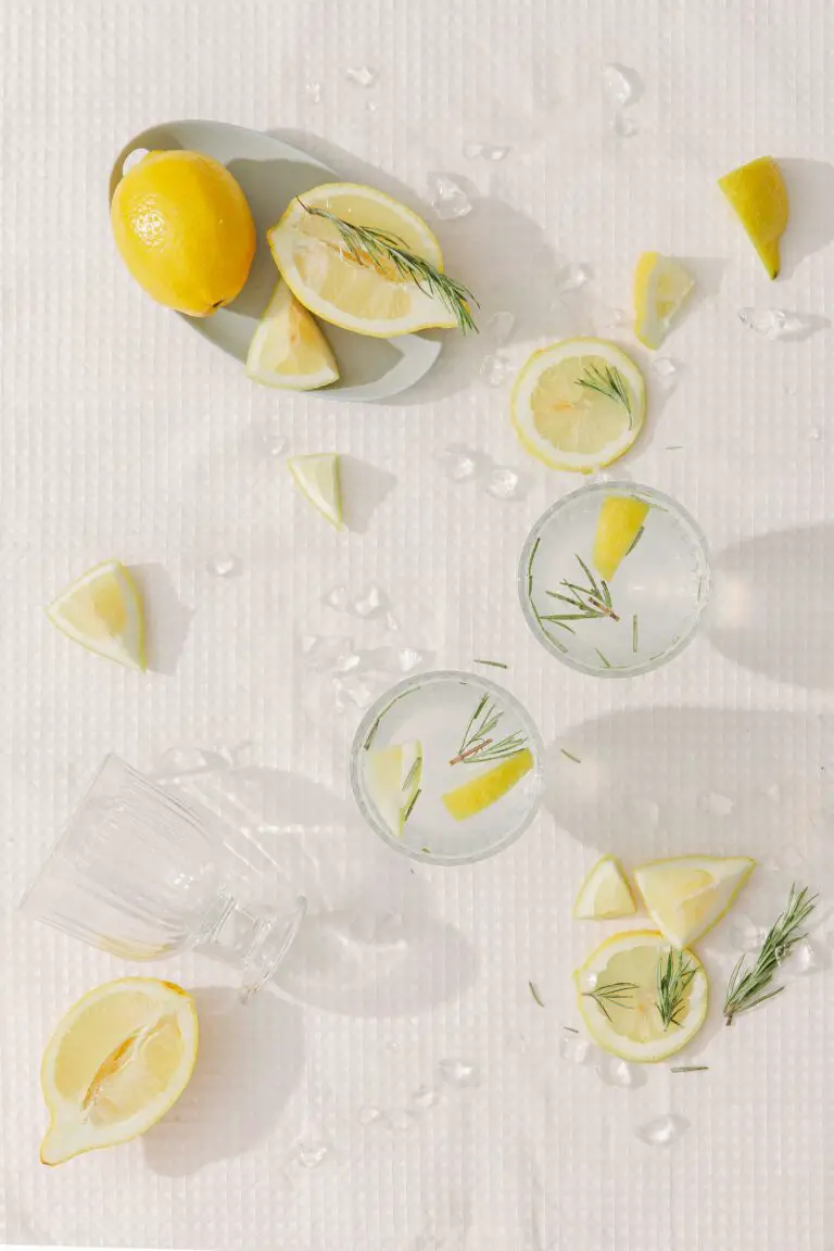 Rondelles de citron frais