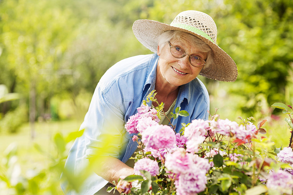 Dame âgée jardinant et souriante parmi les fleurs
