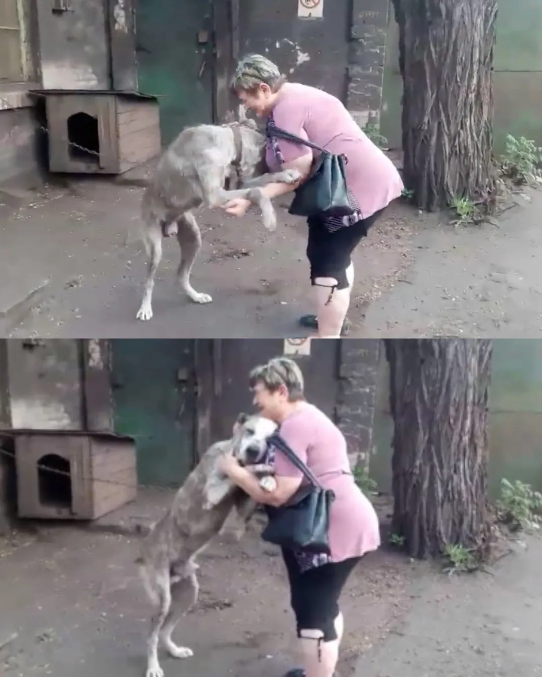 Retrouvailles émouvantes entre Claire et Lucky