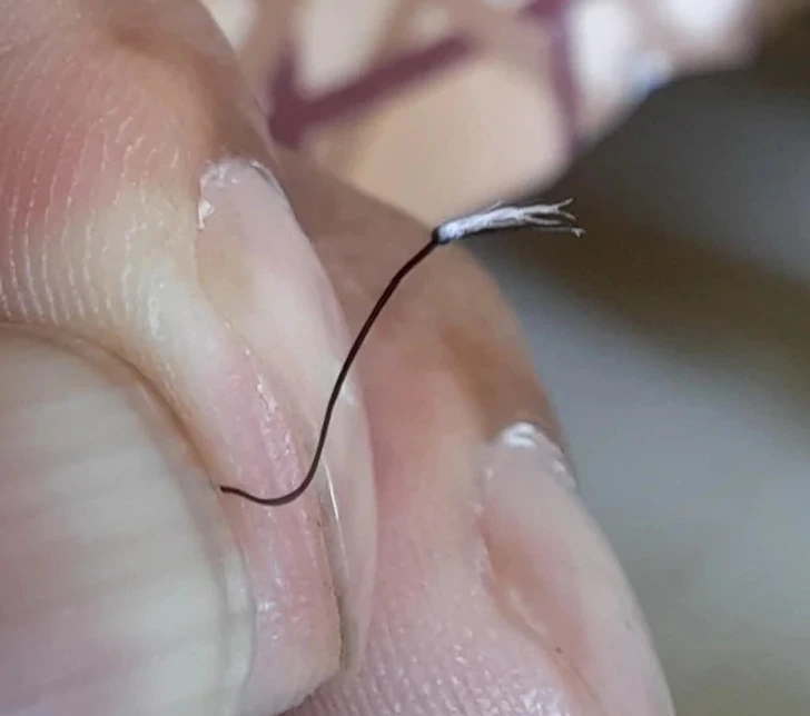 Poil de barbe bifurqué en plusieurs brins