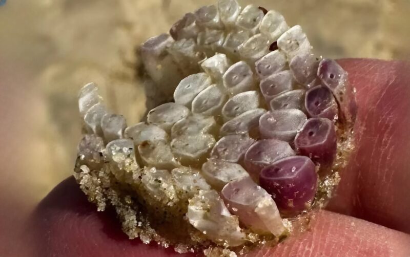 Texture étrange sur serviette de plage