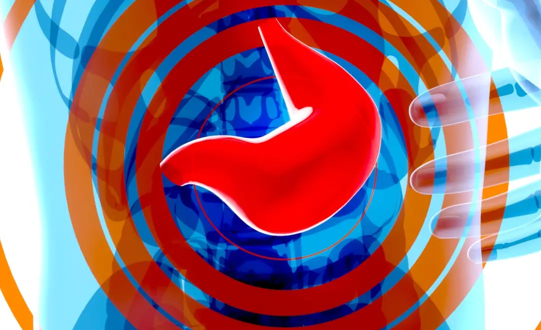 Représentation schématique du foie et de ses fonctions de détoxification