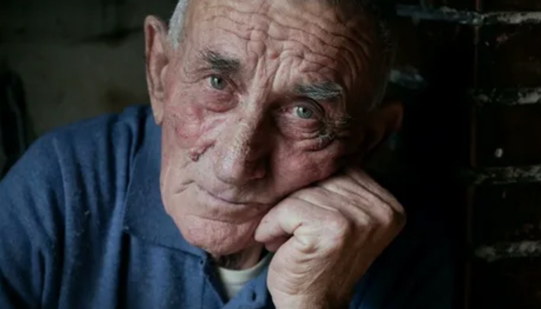 Un chaton gris et blanc, nommé Étincelle, regardant la caméra