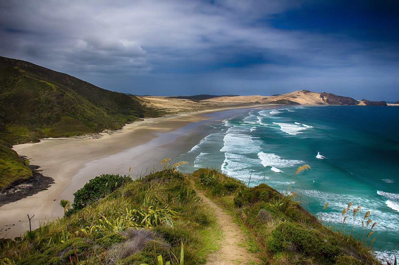 Plage déserte et paradisiaque en Nouvelle-Zélande