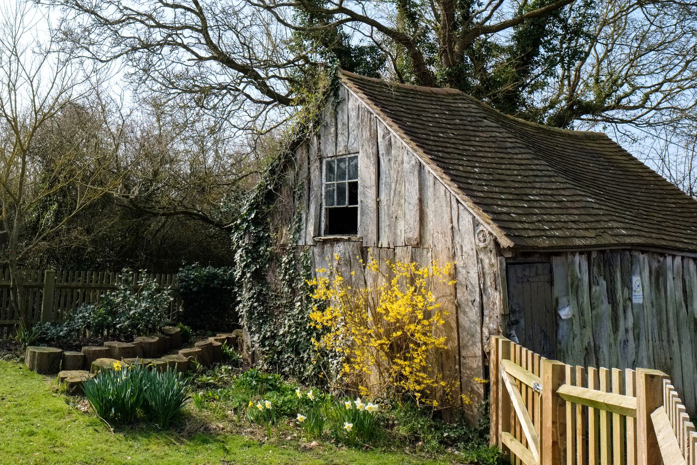 Intérieur d'un vieux cabanon en bois, lieu secret et apaisant