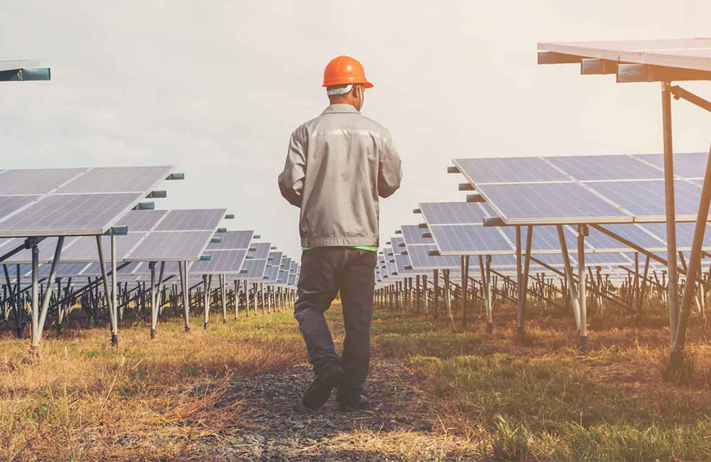 Expert en énergie analysant des données sur un écran dans un champ d'éoliennes