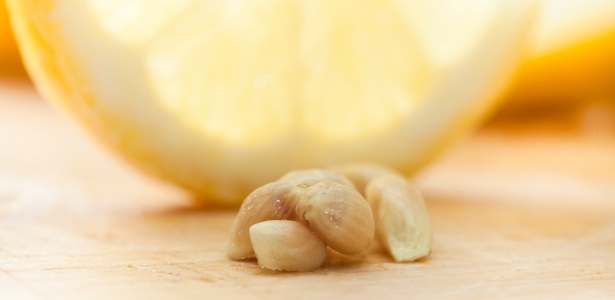 Pépins de citron infusant dans de l'eau pour une lotion capillaire