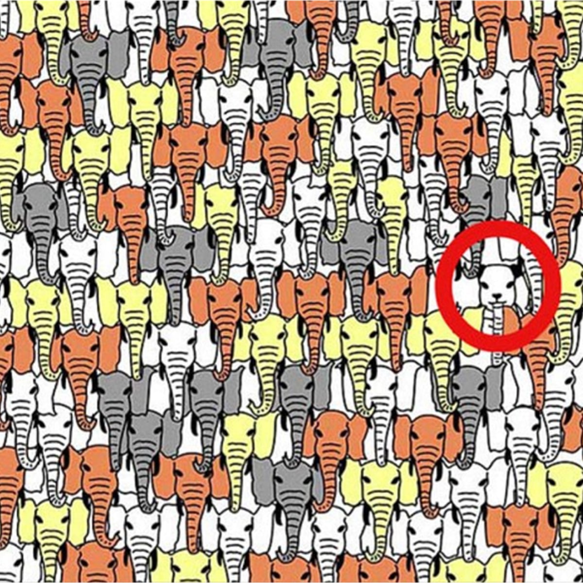 Image de détail montrant la technique de recherche