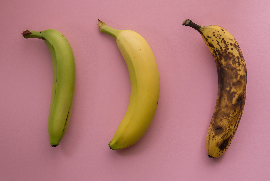 Différents stades de maturité de la banane : verte, jaune et tachetée