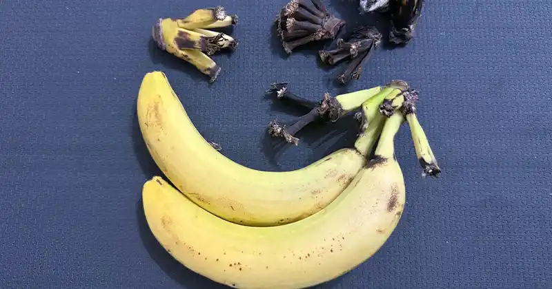 Une personne préparant un jus vert à base de tige de banane